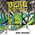 Stay Around