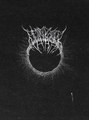 Inverted Aeons