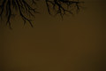 Skooma (2009)