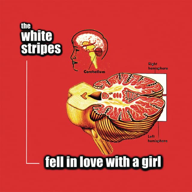 Fell in Love with a Girl