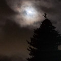 Tragic Moonlight