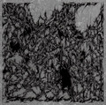Ritualistic Guitar Violence