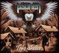 Take Shelter