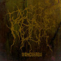 Mancuerda