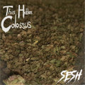 Sesh