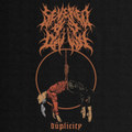 Duplicity