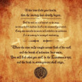 Knights Of The N.O.O.S.E. (Single)