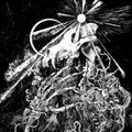 CHAOS MONGERING DEGRADATION