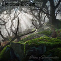 Dawn of Decomposition