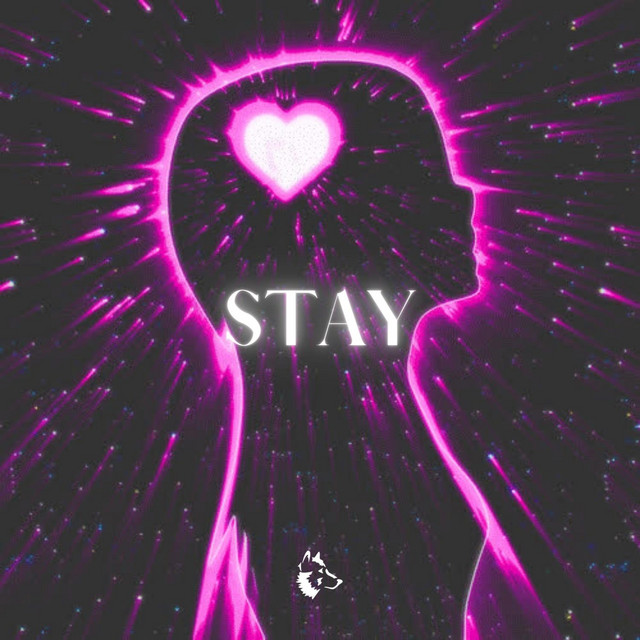 Stay