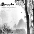 Art in Aggression