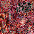 Terrain of Inflamed Pustules
