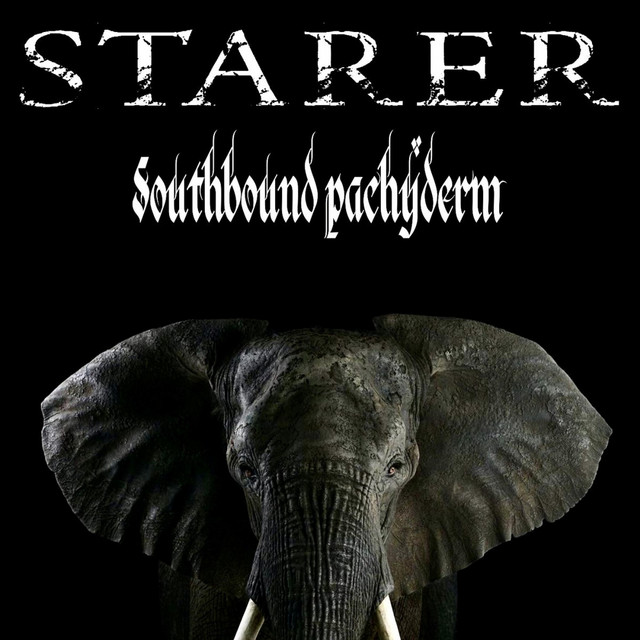 Southbound Pachyderm