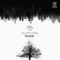 Burr Oak - Time Has Come