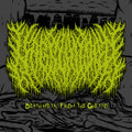 Death Metal From The Ghetto