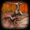 Veins As Poisoned Streams