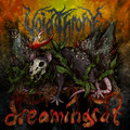 Dreaming Rat