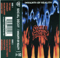 Insights of Reality