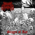 Stages of Rot
