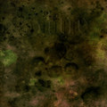 S/T