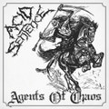 Agents Of Chaos