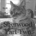 Sherwood Part Two