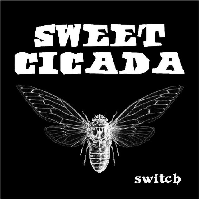 Switch
