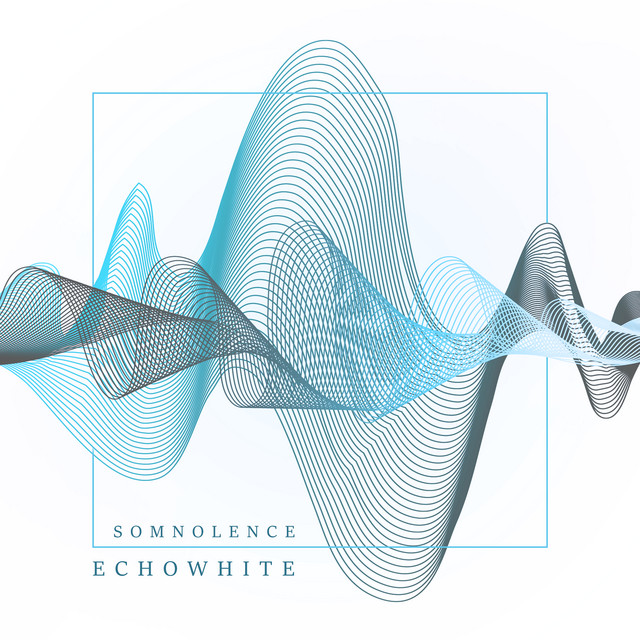 EchoWhite