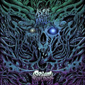 The Plague Split (Advent Varic and Opium Warlock