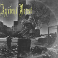 Gravelord Servant