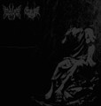 Galare / Eave Split