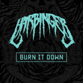 Burn It Down (Avenged Sevenfold Cover)