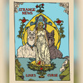 Liar's Curse