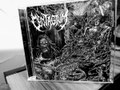 Chronicles of Carnage