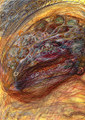 The Conqueror Larvae
