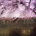 Pieces of Some Day