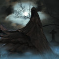 MIDNIGHT WRAITH