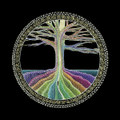 Pineal Pursuit