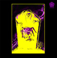 Split 7" w/ Kroh