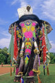 Seven Elephants