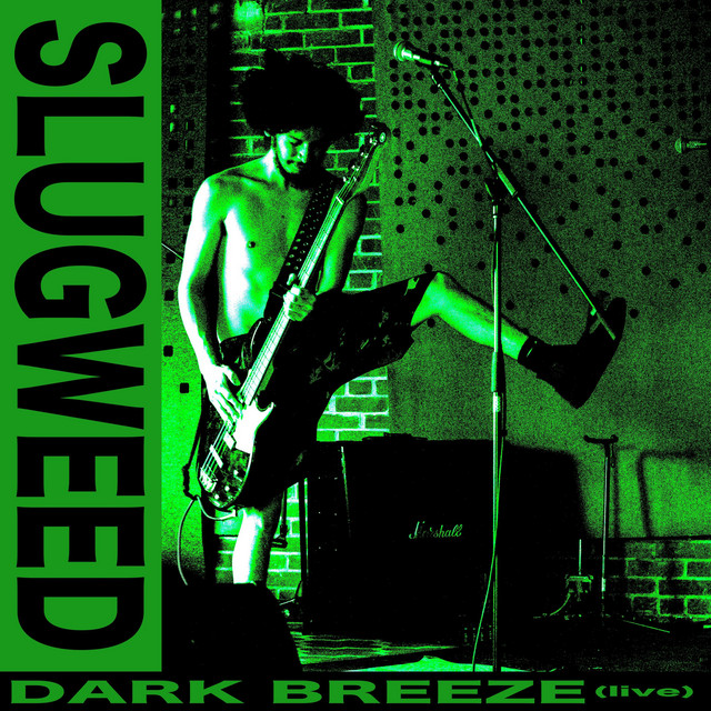 Dark Breeze (Live at New Hampshire Hardcore Fest, July 1st, 2022)