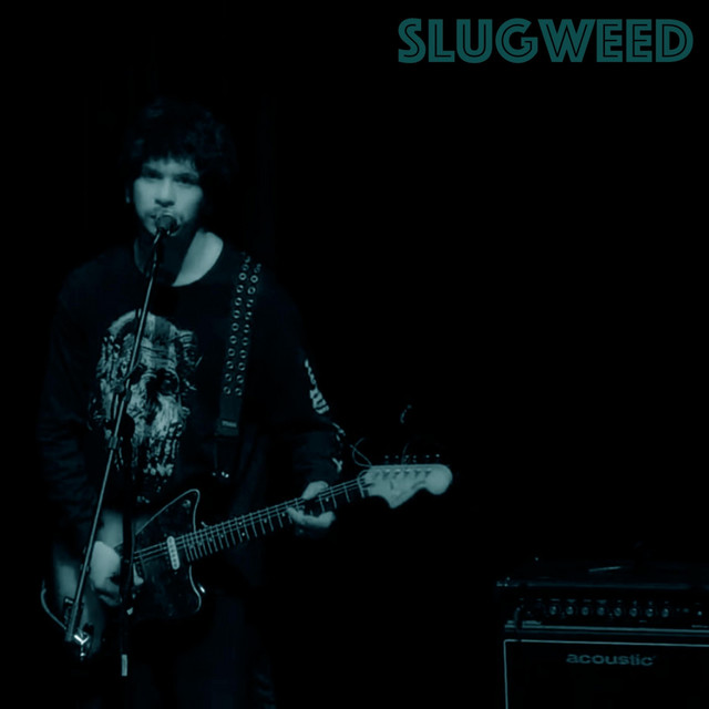 Flying Through The Inverted Abyss (Live)