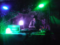 Evasion - Yurt