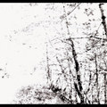 The White EP
