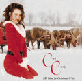 All I Want for Christmas is You [Mariah Carey Cover]