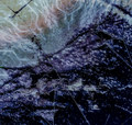 A Tomb For Chronos