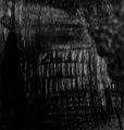Bitter EP