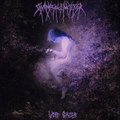 Void Gazer