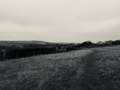End of Days at Race Hill