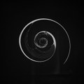 Self Spiral